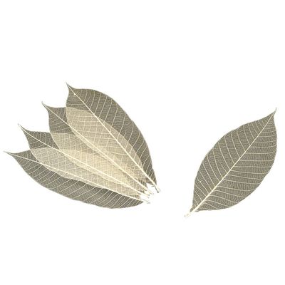 Banyo 18-785E Skash Tree Leaves, 9.8 inches (25 cm), 100 Sheets