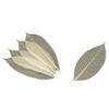 Banyo 18-785E Skash Tree Leaves, 9.8 inches (25 cm), 100 Sheets view 1