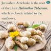 Baar Jerusalem Artichoke, 320 mg, 100 Capsules view 4