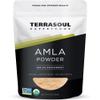 Terrasoul Superfoods Organic Amla Berry Powder (Amalaki), 16 Oz - Rich in Antioxidant Vitamin C | Supports Immunity view 1