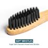 Primal Life Organics - Charcoal Toothbrush, Made with Charcoal & Bamboo, Biodegradable, BPA-Free, Perfect for Kids & Adults, Recyclable, Gently Massages Gums & Teeth, Zero Waste Toothbrush, (1-Pack) view 2