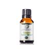 10 ml Ginger Essential Oil with Euro Dropper view 1