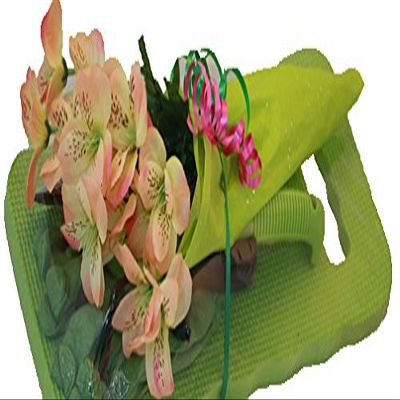 Gardening Gift Set for Birthday, Get Well, Bridal Shower, Father's Day, Retirement, Housewarming, Graduation in Refreshing Lime Green