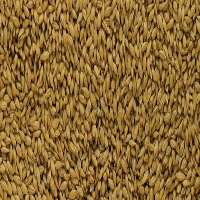 Malt - Briess - Distillers Malt (50 lb Sack)