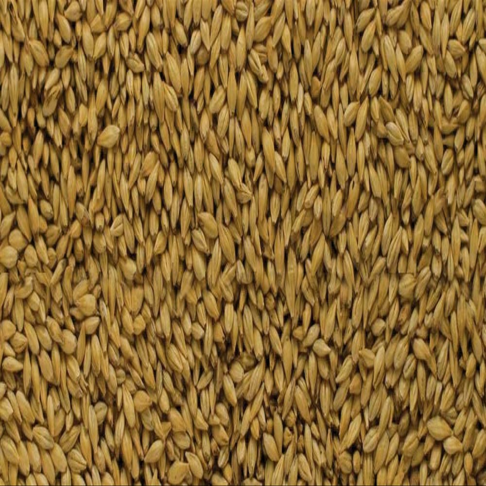 Malt - Briess - Distillers Malt (50 lb Sack)