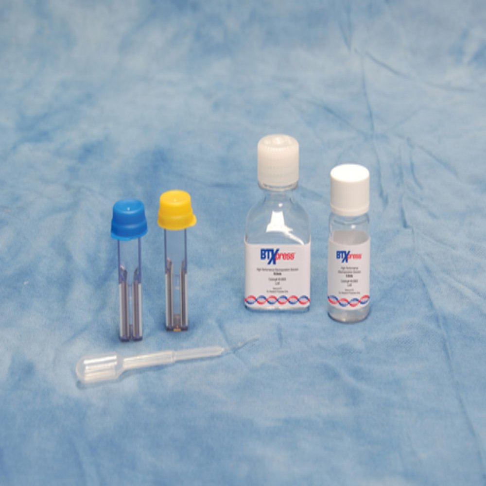 Btxpress Solution Kit - 40 Rxn (450804)