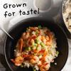 4Sisters - Organic Long Grain White Rice - Grown in USA - Sustainably Grown - Women Owned - Farm to Table (2 lb) view 4