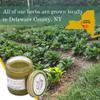 Catskills Comfrey Original, 2oz  Comfrey Salve for Bone Healing Organic  Comfrey Oil Cream, Only 4 Natural Ingredients  Home-Grown & Home-Made, Multi-use Natural Skincare, No Essential Oils view 3