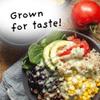 4Sisters - Organic Long Grain Brown Rice - Grown in USA - Sustainably Grown - Women Owned - Farm to Table - 2lb view 4
