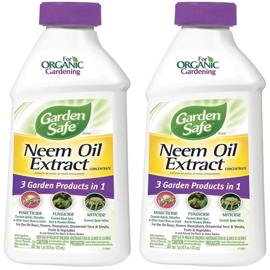 Garden Safe Neem Oil htLkY Extract Concentrate, 16 fl oz (2 Pack)