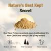 Samsara Herbs Pine Pollen Powder Wild Harvested - 99% Cracked Cell Wall (4oz/114g) Supports Healthy Energy & Longevity view 3