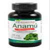 Anamu 100 Capsules 550 mg Petiveria Allicea view 1