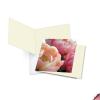 The Best Card Company - 12 Assorted Blank Note Cards (4 x 5.12 Inch) - Boxed All Occasion Notecards Bulk (2 Designs, 6 Each) - Peony Passion MQ4606OCB-B6x2-NB view 3