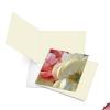 The Best Card Company - 12 Assorted Blank Note Cards (4 x 5.12 Inch) - Boxed All Occasion Notecards Bulk (2 Designs, 6 Each) - Peony Passion MQ4606OCB-B6x2-NB view 4