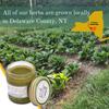 Catskills Comfrey Original, 4oz  Comfrey Salve for Bone Healing Organic  Comfrey Oil Cream, Only 4 Natural Ingredients  Home-Grown & Home-Made, Multi-use Natural Skincare, No Essential Oils view 3