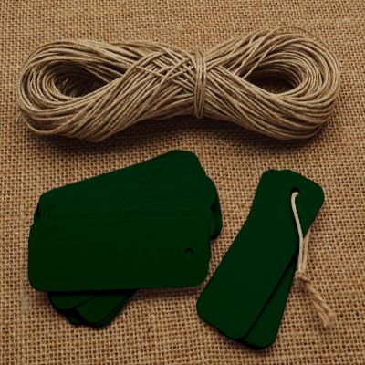 100 Pcs Rectangular Shape Blank Tags Bonbonniere Wedding Favor Hang Tag with Free Natural Jute Twine - Colours Available