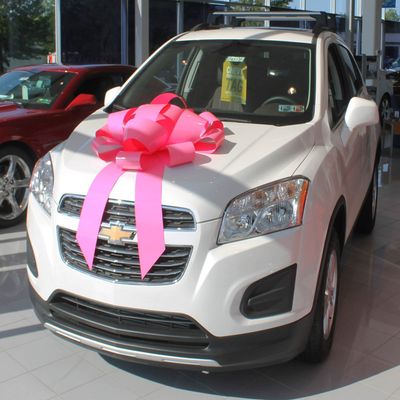 30" Big Suction Cup Car Bow - Made in USA (Pink)