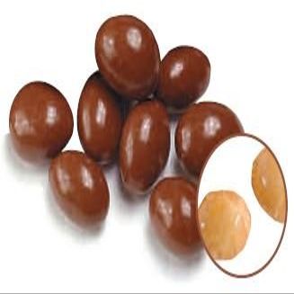 Chocolate Covered Soya Nuts -15Lbs