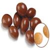Chocolate Covered Soya Nuts -15Lbs view 1