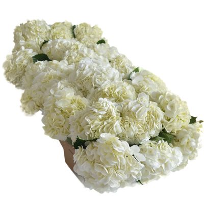 Blooms2Door - 30 White Hydrang eas (Naturally Colored, Premium Quality) - Fresh Flowers for Birthday, Valentine's & Mother's Day