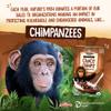 EnviroKidz Organic Choco Chimps Cereal, 10 oz (Pack of 12), Chocolate, Gluten Free, Non-GMO, Fair Trade, by Nature's Path view 4