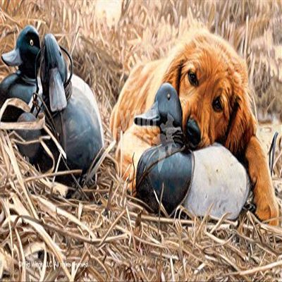 Wild Wings Shore Lunch - Golden Retriever Print by John Aldrich