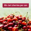 Juice Performer Tart Cherry Juice - 100% Juice For Sleep Support and Enhanced Muscle Recovery - Post Performance Recovery Drink - Superfood Athletic Fuel 8.4 Fl.Oz. (12 Pk) Gluten Free view 2