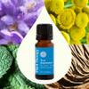 Plant Therapy Chakra 5 True Expression Essential Oil Blend (Throat Chakra) 10 mL (1/3 oz) 100% Pure, Undiluted, Refreshing Aromatherapy, Encourages Confidence view 3
