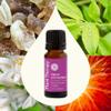 Plant Therapy Chakra 7 Higher Connection (Crown Chakra) Essential Oil Blend 10 mL (1/3 oz) 100% Pure, Undiluted, Aromatherapy to Encourage Emotional Balance and Connection view 3