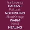 Plant Therapy Chakra 7 Higher Connection (Crown Chakra) Essential Oil Blend 10 mL (1/3 oz) 100% Pure, Undiluted, Aromatherapy to Encourage Emotional Balance and Connection view 4