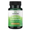 Swanson Raw Spleen Glandular 200 Milligrams 60 Capsules view 1