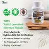 Sayan Siberian Chaga Mushroom Extract with Shilajit 90 Capsules/420mg ea. Immune and Digestion System Support  Fulvic Acid Supplement  Energy & Clarity  Exclusive Blend  No Fillers view 2