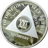 21 Year AA Medallion Camo Silver Plated Camouflage Color Chip view 1
