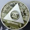 21 Year AA Medallion Camo Silver Plated Camouflage Color Chip view 3