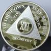 21 Year AA Medallion Camo Silver Plated Camouflage Color Chip view 4