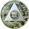 19 Year AA Medallion Camo Silver Plated Camouflage Color Chip view 1