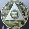 19 Year AA Medallion Camo Silver Plated Camouflage Color Chip view 3