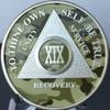 19 Year AA Medallion Camo Silver Plated Camouflage Color Chip view 4