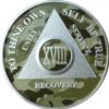 18 Year AA Medallion Camo Silver Plated Camouflage Color Chip view 1