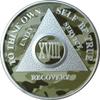 18 Year AA Medallion Camo Silver Plated Camouflage Color Chip view 3