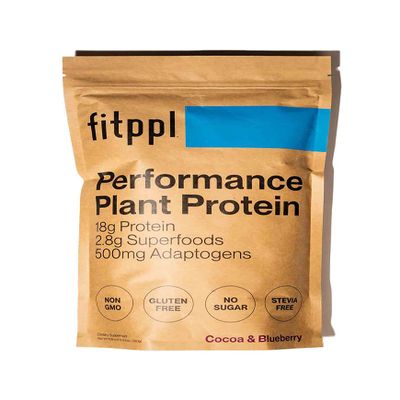 fitppl Plant Based Protein Powder w/Superfoods, Ashwagandha, Reishi, Lions Mane for Optimal Health | 18G of Organic Chocolate Vegan Protein, Gluten Free, Stevia Free, Sugar Free, 20 Servings