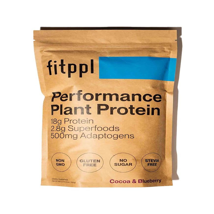 fitppl Plant Based Protein Powder w/Superfoods, Ashwagandha, Reishi, Lions Mane for Optimal Health | 18G of Organic Chocolate Vegan Protein, Gluten Free, Stevia Free, Sugar Free, 20 Servings