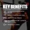 Bare Performance Nutrition BPN Flight Pre Workout, Supports Energy and Mental Focus, Improved Endurance & Muscle Pumps with CarnoSyn Beta Alanine, Blue Raspberry, 30 Servings view 3