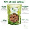 YUVIKA Star Anise - Illicium Verum - Badian Khatai (200 Grams) view 4