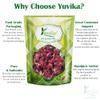 YUVIKA Gulab Patti - Rosa Gallica - Dry Rose Petal (400 Grams) view 3