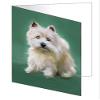 Doggie of the Day Cairn Terrier Dog Note Card (10) view 1