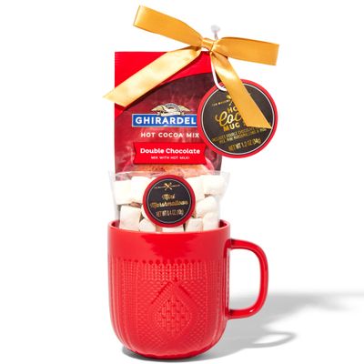 Hot Chocolate Gift Set Made with Ghirardelli, Includes 1 Single-Serve Packet of Ghirardelli Double Chocolate Hot Cocoa Mix, 1 Pack of Mini Marshmallows, and Ceramic Mug, Gourmet Hot Cocoa Gift Set, Valentine's Day