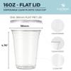 [1000 SET]Harvest Pack 16 oz Iced Coffee Cup, Ultra Clear Plastic Cold Cups with Flat Lids, Disposable Wedding Party Drinking Cups Tumblers, Iced Coffee Beer Juice Cold Beverage view 2