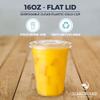 [1000 SET]Harvest Pack 16 oz Iced Coffee Cup, Ultra Clear Plastic Cold Cups with Flat Lids, Disposable Wedding Party Drinking Cups Tumblers, Iced Coffee Beer Juice Cold Beverage view 4
