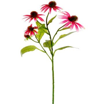29" Echinacea Spray Cerise (Pack of 12)